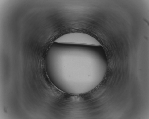 X0000092000272200709061246