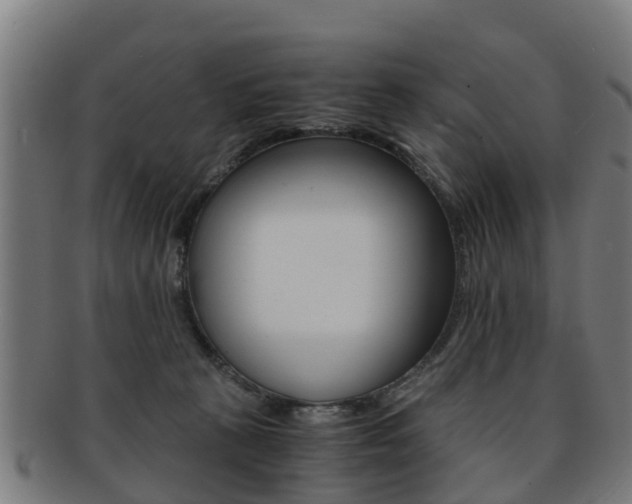 X0000092000273200709061246
