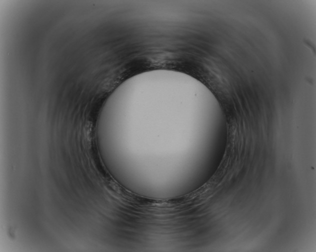 X0000092000275200709061246