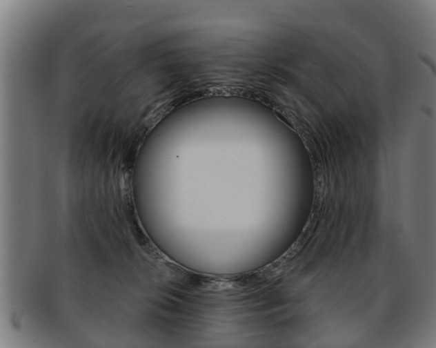 X0000092000276200709061246