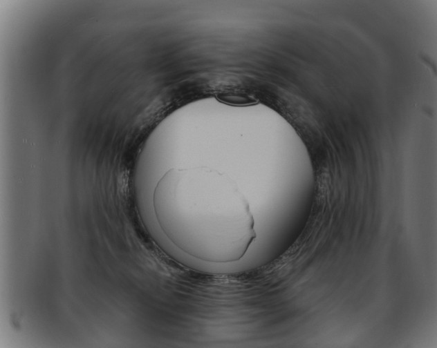 X0000092000278200709061246