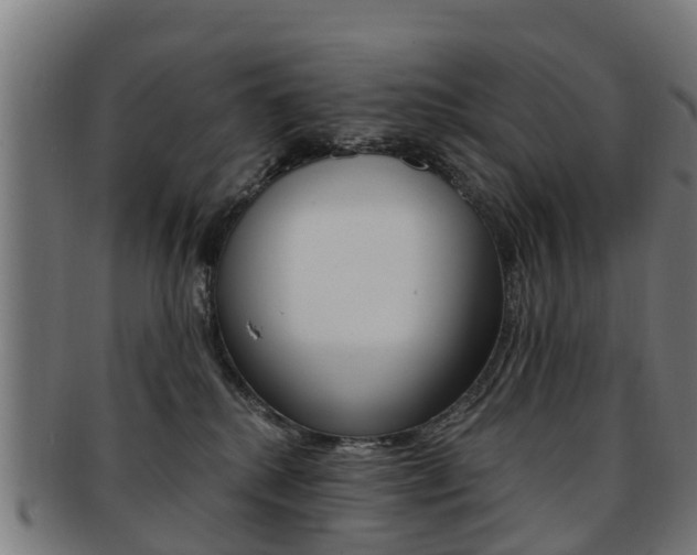 X0000092000280200709061246
