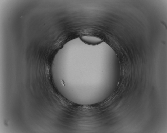 X0000092000282200709061246