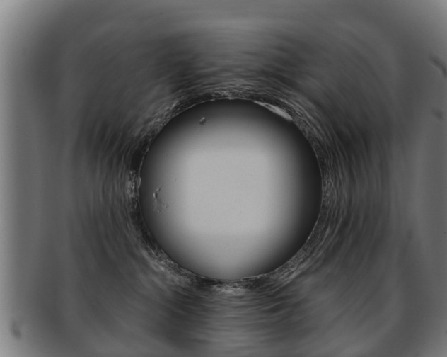 X0000092000284200709061246