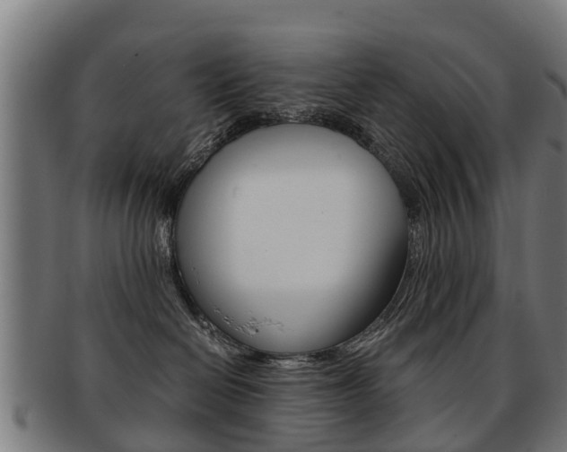X0000092000286200709061246
