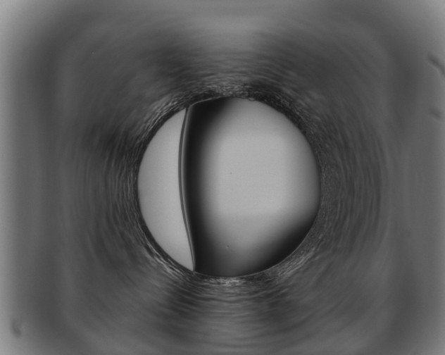 X0000092000288200709061246