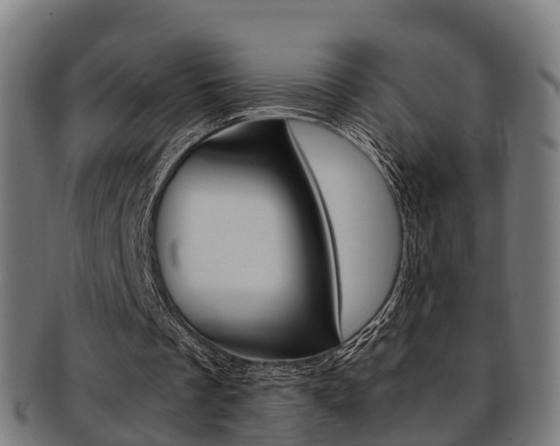 X0000092000289200709061246