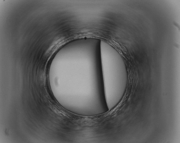 X0000092000290200709061246