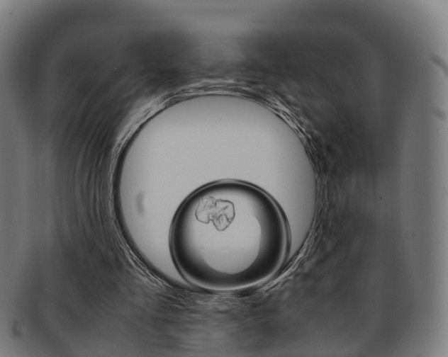 X0000092000293200709061246
