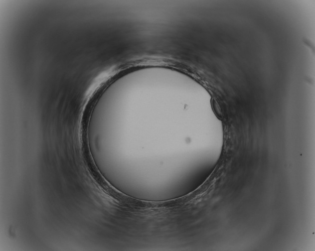 X0000092000296200709061246