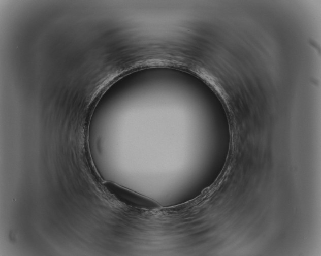 X0000092000297200709061246