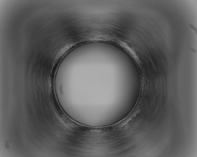 X0000092000298200709061246