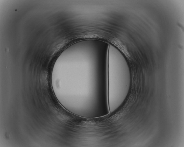 X0000092000300200709061246