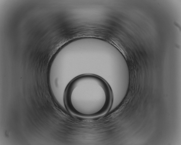 X0000092000301200709061246