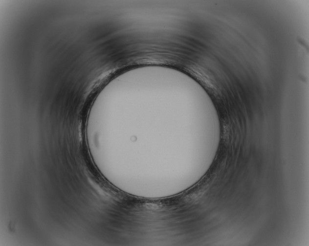 X0000092000302200709061246