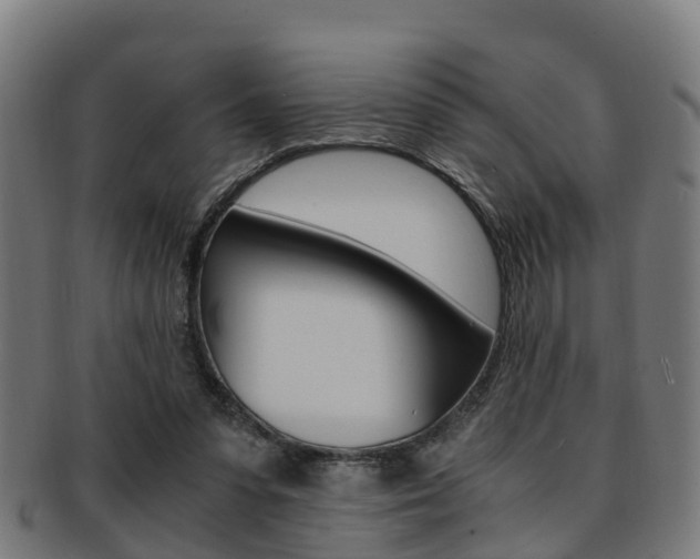 X0000092000303200709061246