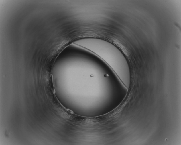 X0000092000305200709061245