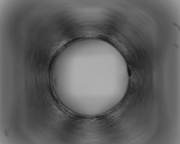 X0000092000306200709061245