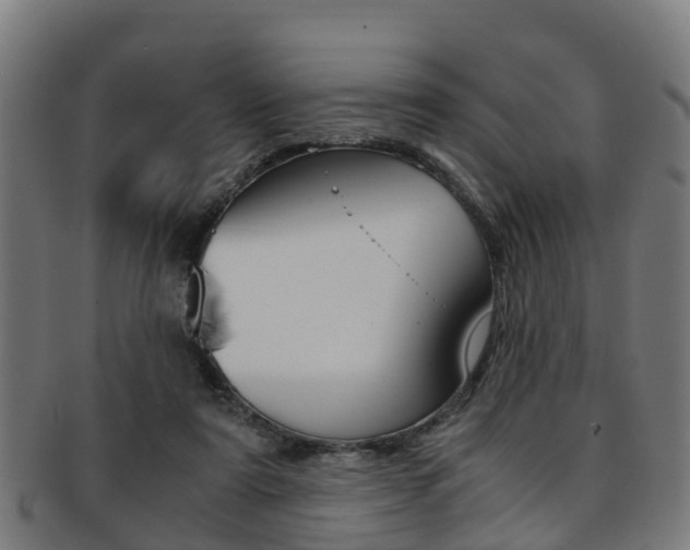 X0000092000307200709061245