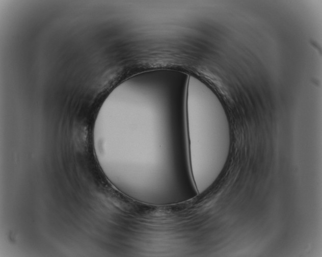 X0000092000308200709061245