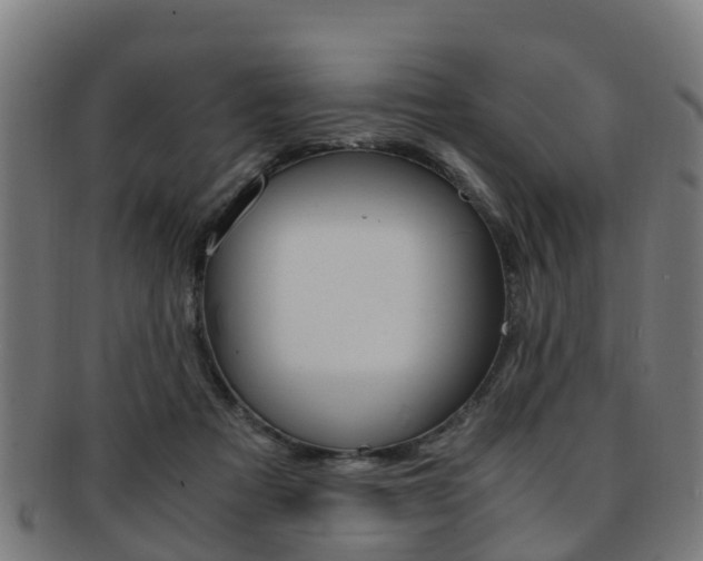 X0000092000313200709061245