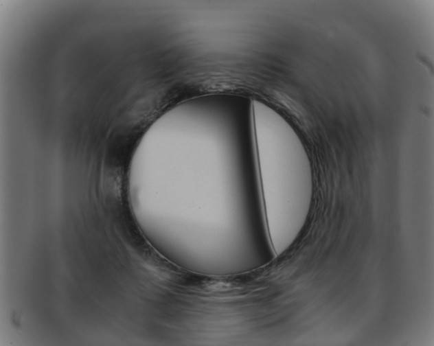 X0000092000315200709061245