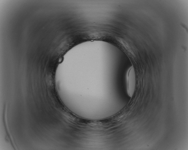 X0000092000317200709061245