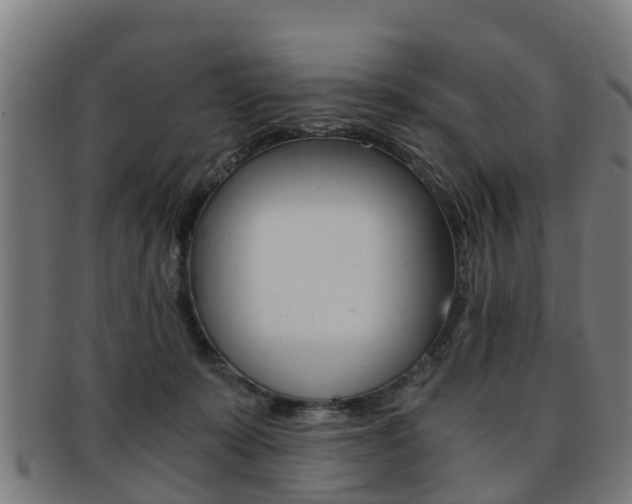 X0000092000319200709061245