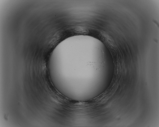 X0000092000320200709061245