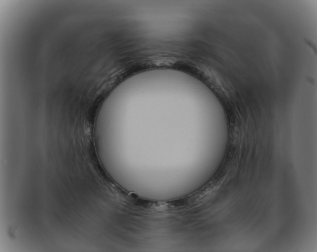 X0000092000321200709061245