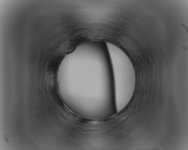 X0000092000323200709061245