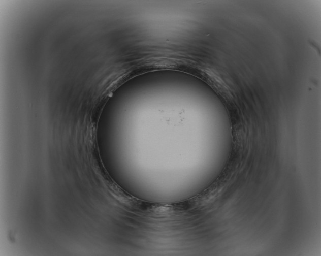 X0000092000325200709061245
