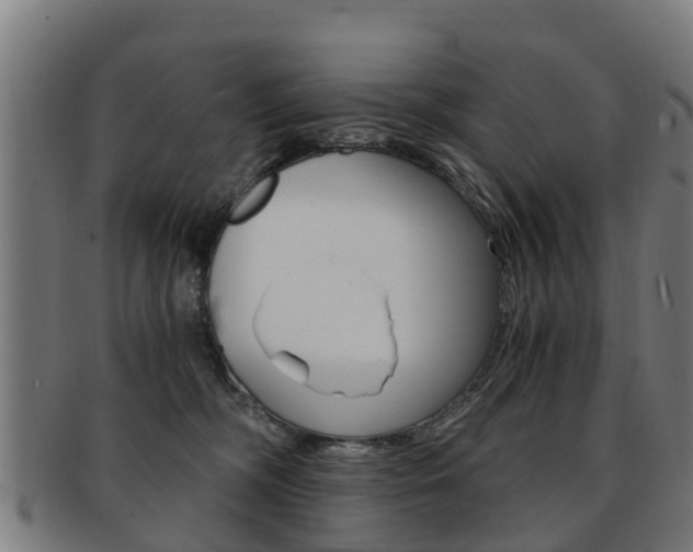 X0000092000326200709061245