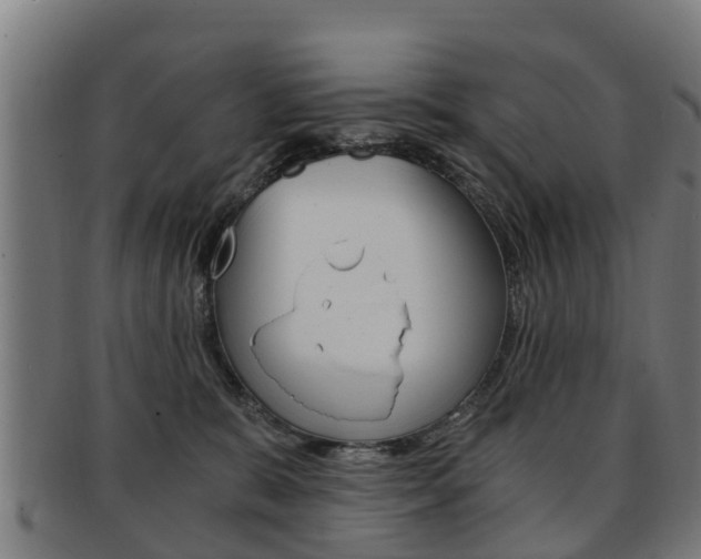 X0000092000327200709061245