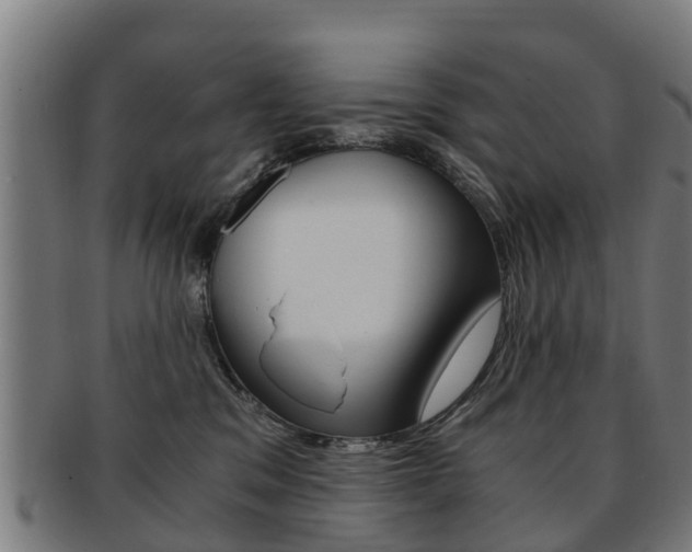 X0000092000329200709061245