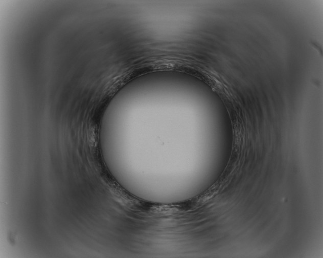 X0000092000331200709061245