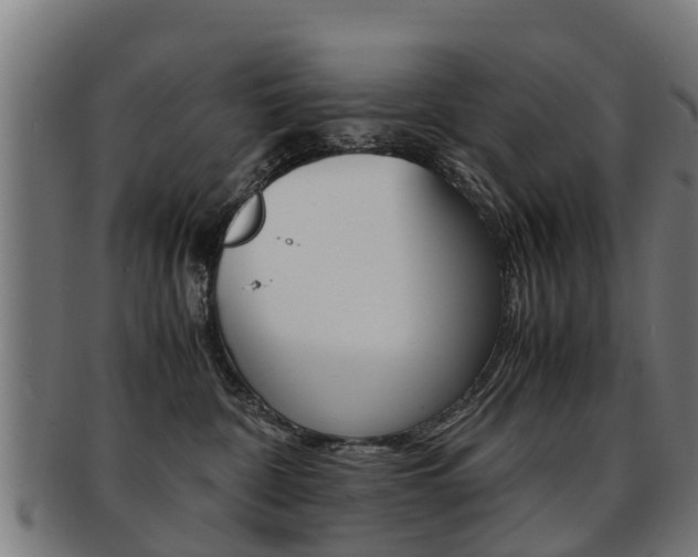 X0000092000332200709061245