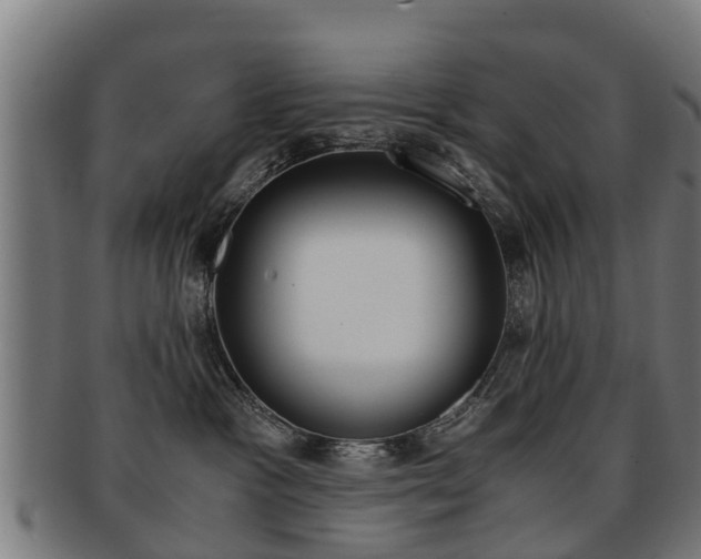 X0000092000333200709061245