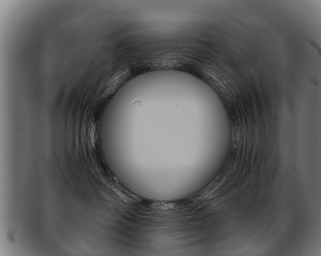 X0000092000334200709061245