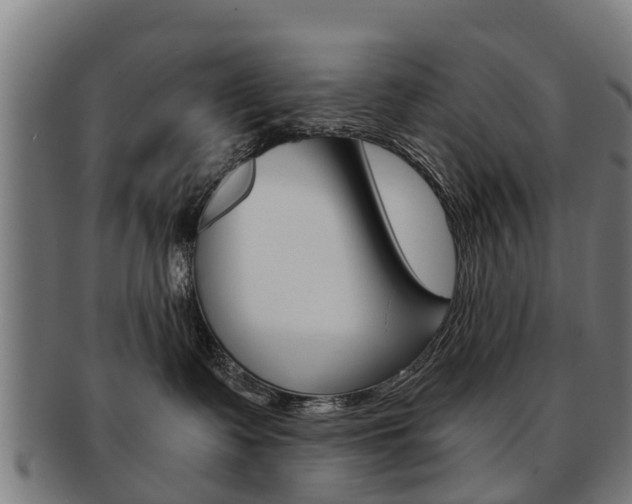 X0000092000335200709061245