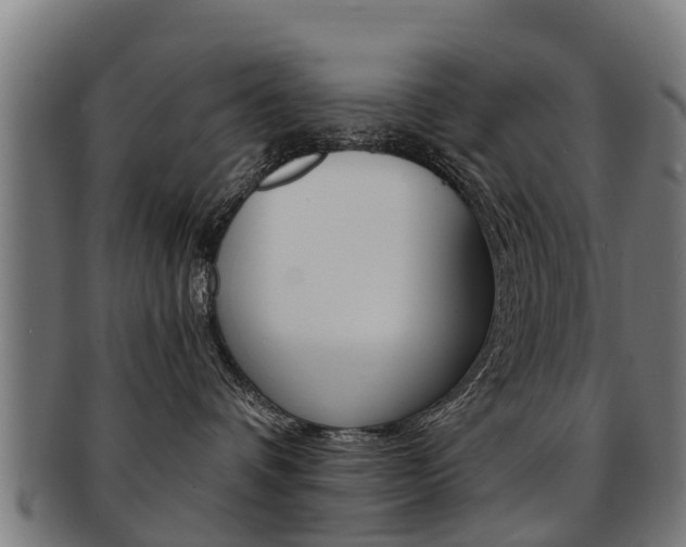X0000092000336200709061245