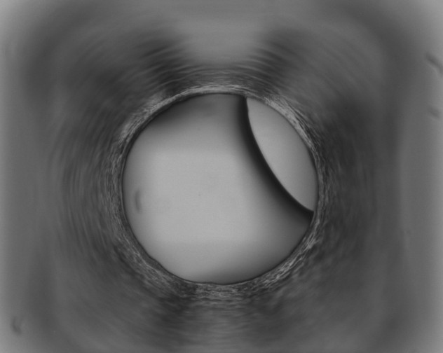 X0000092000337200709061244