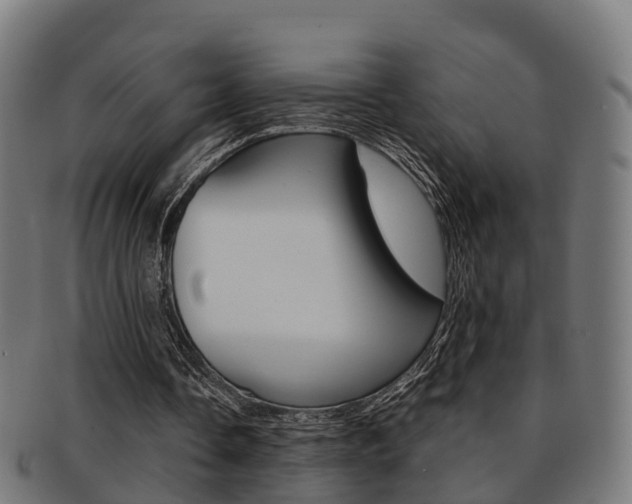 X0000092000338200709061244