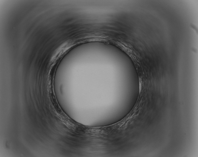 X0000092000339200709061244