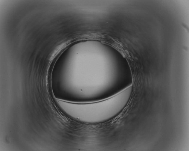 X0000092000340200709061244