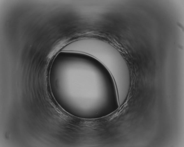 X0000092000341200709061244