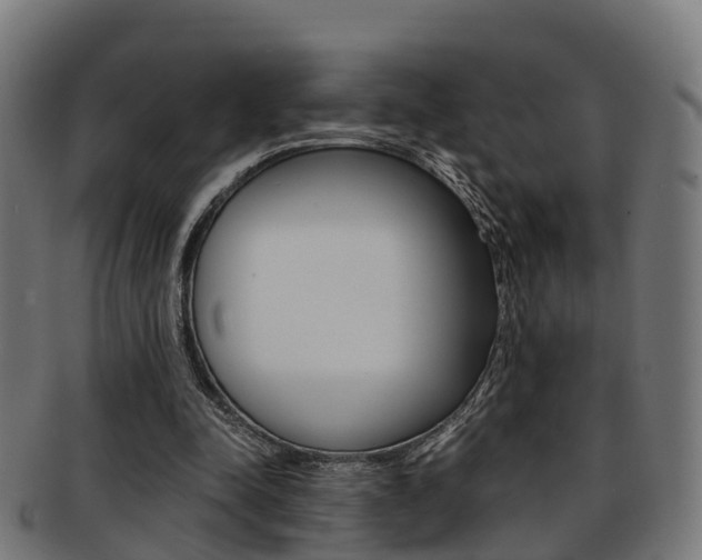 X0000092000342200709061244