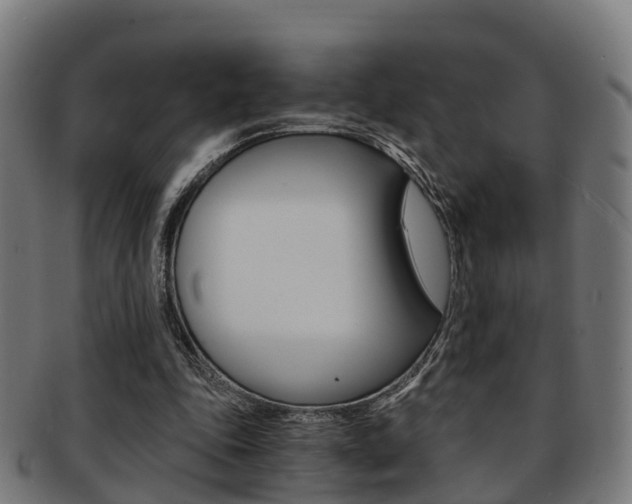 X0000092000343200709061244