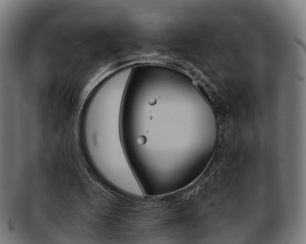 X0000092000344200709061244