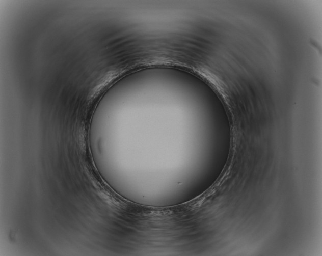 X0000092000345200709061244
